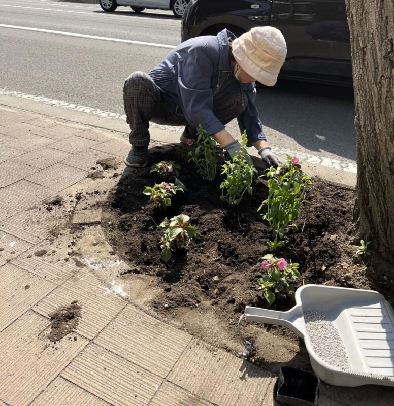 新陽町内会花苗